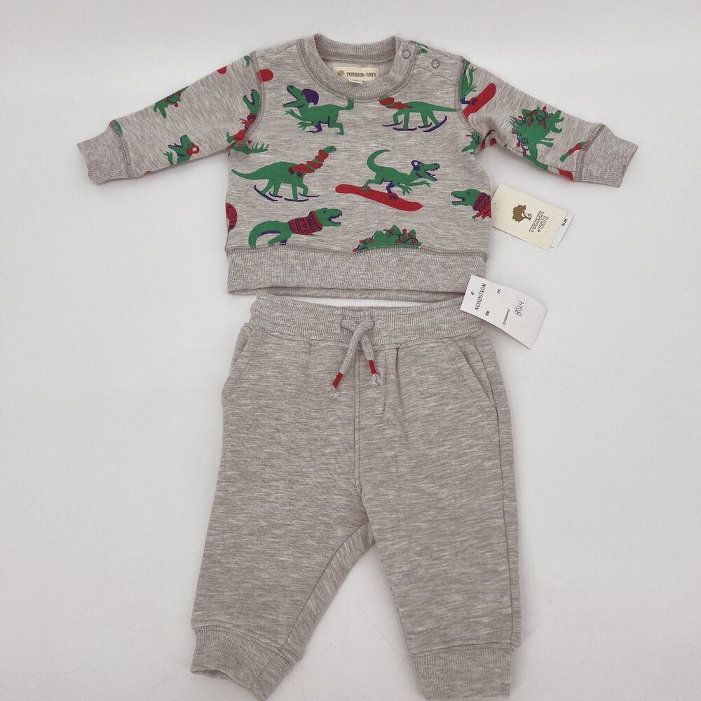 Tucker + Tate Kid's Holiday Dinosaur Sweatshirt Top & Pants Set Gray Size 3M NWT